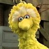 put.user.name.here.now