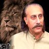 gulhassan37