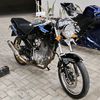 tigerkinggg06