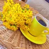 h.ananalrooh.h