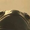 itcrab