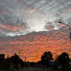 trantran_674