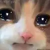 denpa9chu