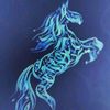 salem_alkhtane