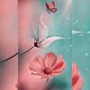 fabiolayas4