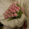 31_swete