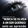 cristelgamez6
