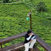 makasih0207