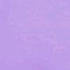 .popee_