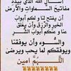 ssnaef