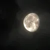 zehraanz_