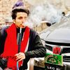 gangsterparadise147