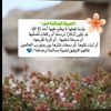user439063104998856