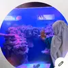 silmibilaa_