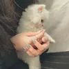 kochar__22