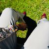 ke_boseke