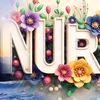 fauziahnurnst26