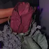 sh_kova12
