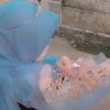 auliaalyanurhasanah