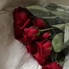 asmaa5851