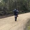 brodie_shepherd450