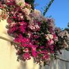 mohmmad711
