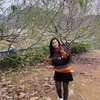anh.anh89ls