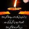 tehzeeb489