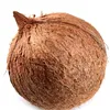 coconut.n3