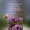 meryem_muhammed_phlvngl