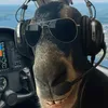 gussssgus_