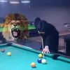 ra9yku