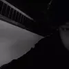 dapzxzx