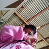 ocong337