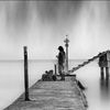 ali_se781