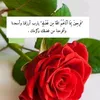 البصراوية