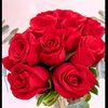 lidia_tr3