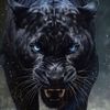 fahd_q8_