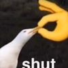 funguyfilms31