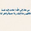 yazn_51