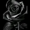 user9s1p54ltvi