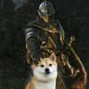 rewqtgji