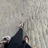 silvisymln