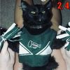 99stacocats99