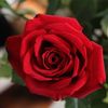 user8105538234196