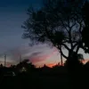 liaautami