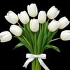 user_182947483