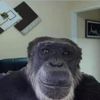 dumbazz_b1tch