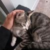 derya_767