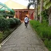 vuhuynh72